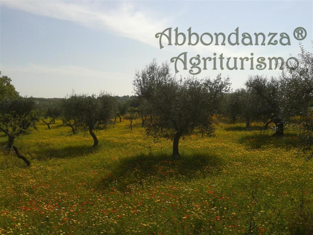 알베르벨로 Agriturismo Abbondanza 빌라 외부 사진