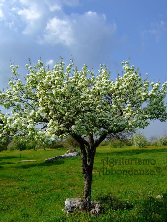 알베르벨로 Agriturismo Abbondanza 빌라 외부 사진