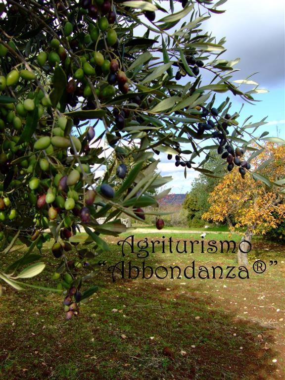 알베르벨로 Agriturismo Abbondanza 빌라 외부 사진