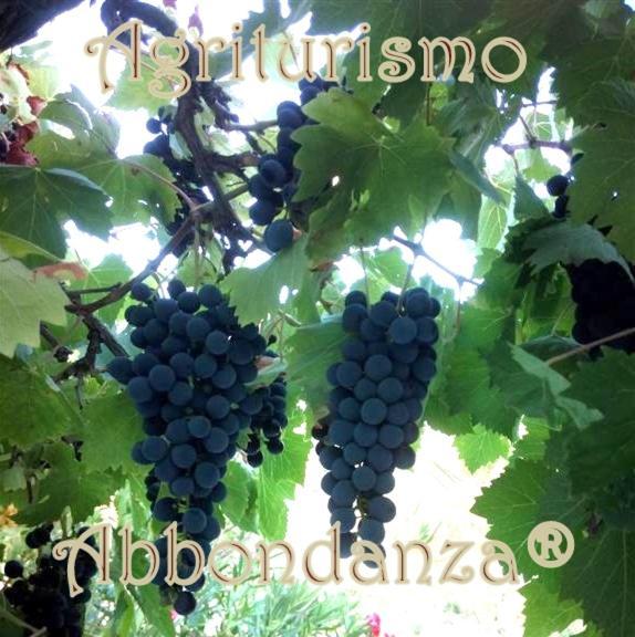 알베르벨로 Agriturismo Abbondanza 빌라 외부 사진